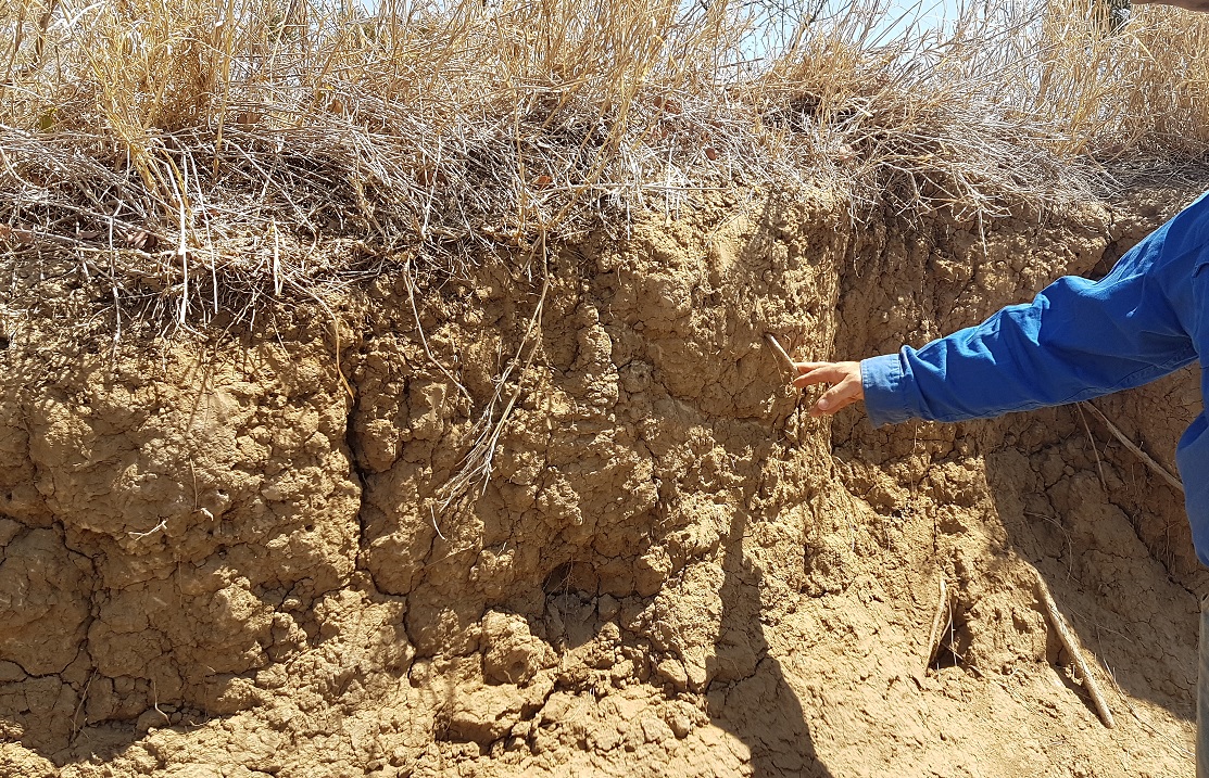 Agronomy and soil health